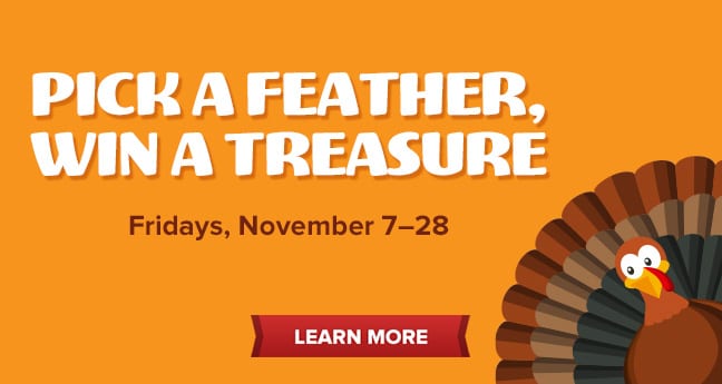 Pick A Feather, Win A Treasure